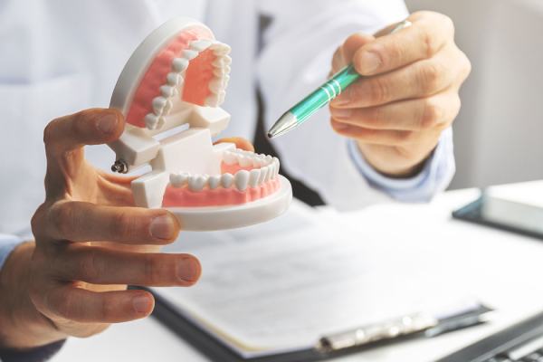 Dentist Showing teeth